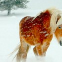 Permalink to 50 Photos That Will Blow You Away beautiful-photos