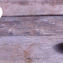 Permalink to Beautiful Collection of Handcrafted Rings Designed by WOOD wood